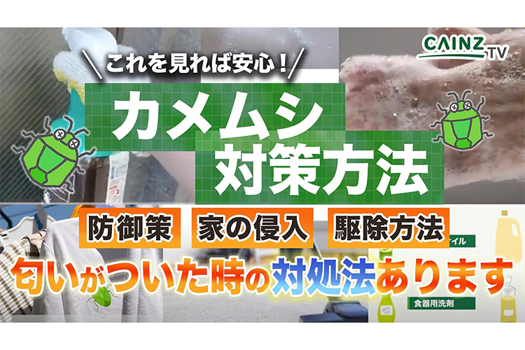 【動画】カメムシ大量発生！カメムシの対策と駆除方法に必要なおすすめアイテム｜手についた匂いを消す方法