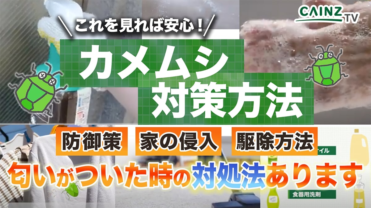 kamemushitaisakuog.jpg