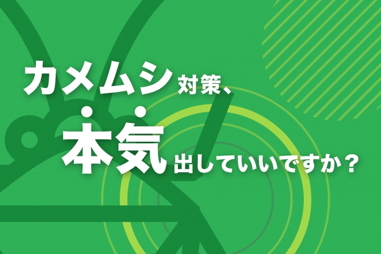 カメムシ対策、本気出していいですか？