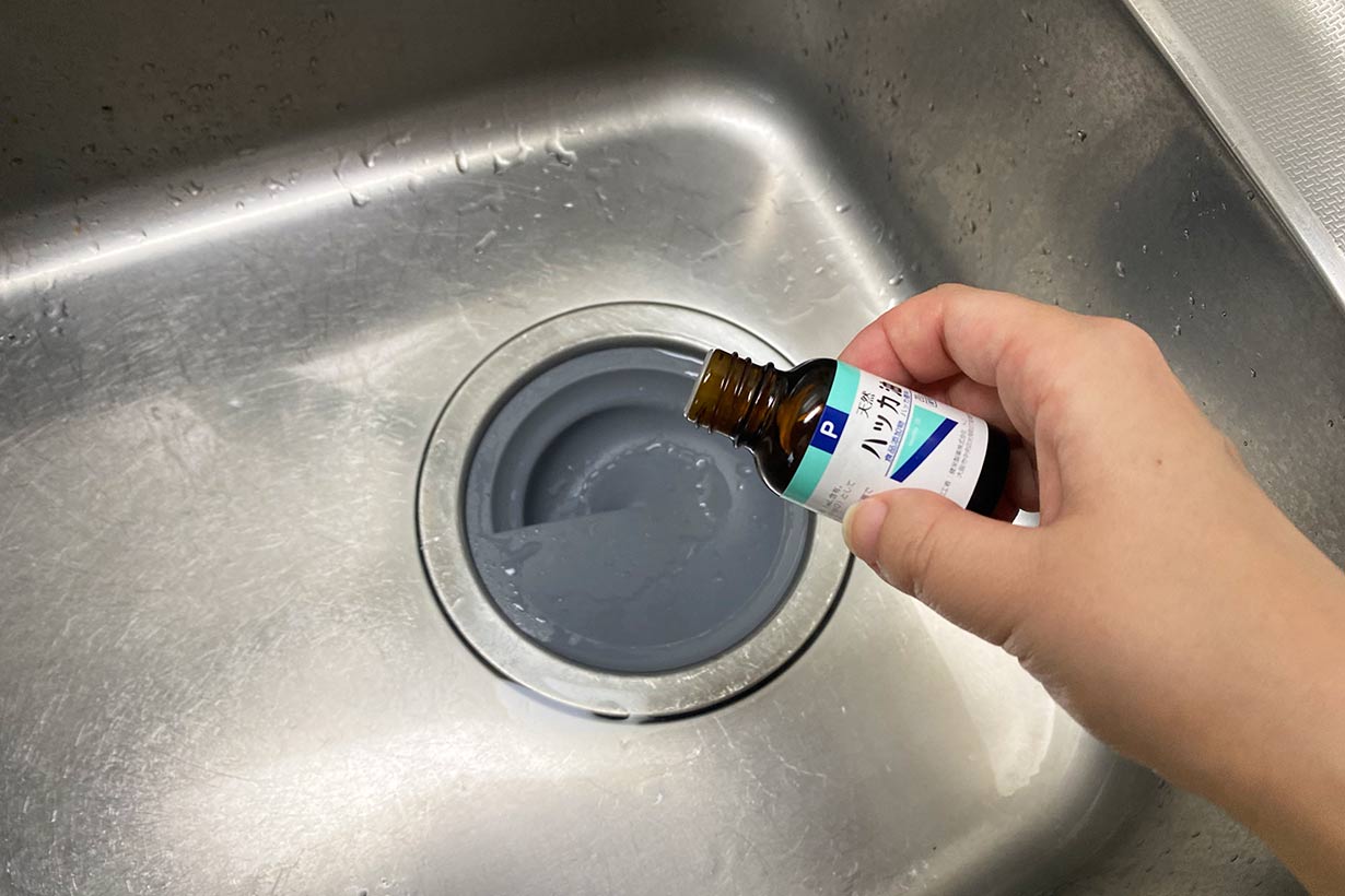 保存版】ハッカ油はスーッとするだけじゃない。虫よけ、掃除