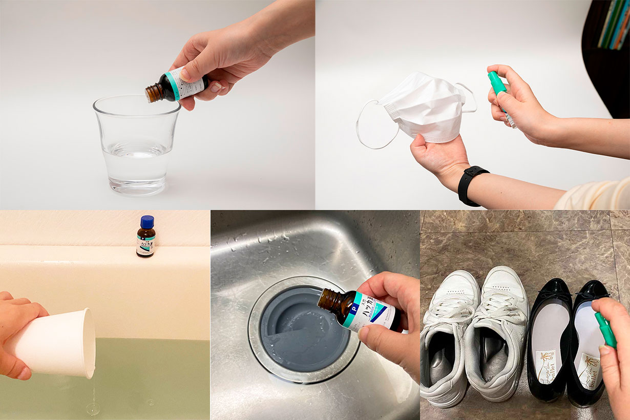 保存版】ハッカ油はスーッとするだけじゃない。虫よけ、掃除