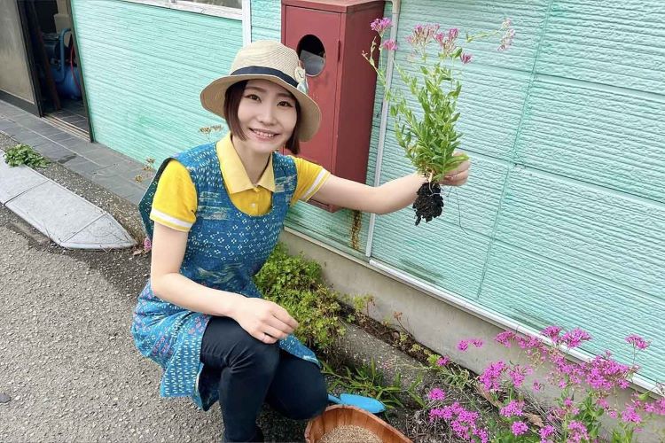 雑草をプランターに植え替えて愛でる