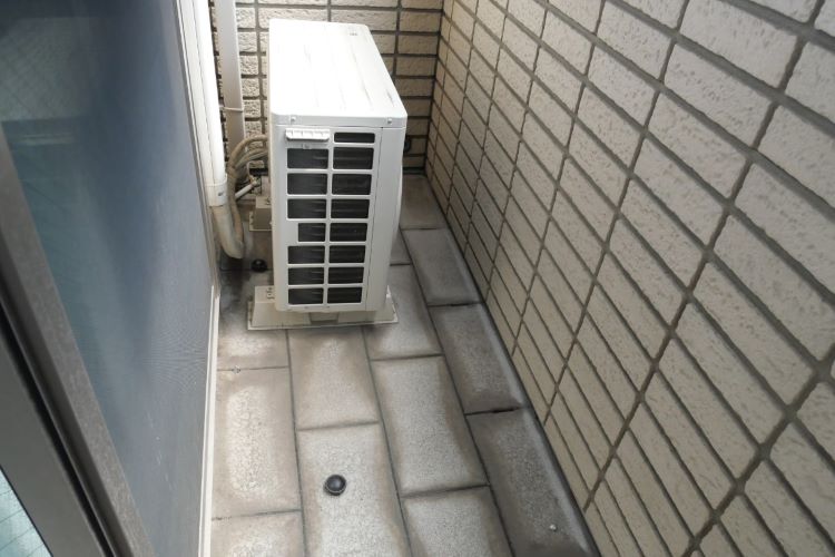 ベランダのカメムシ対策! 寄せ付けないようにする方法とは?