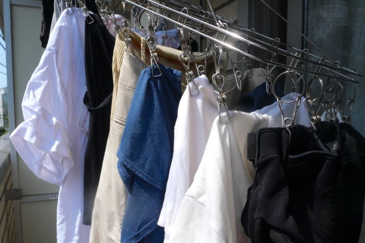 カメムシの臭いの取り方・消し方とは? 洋服や布団、手についた臭いを消す方法