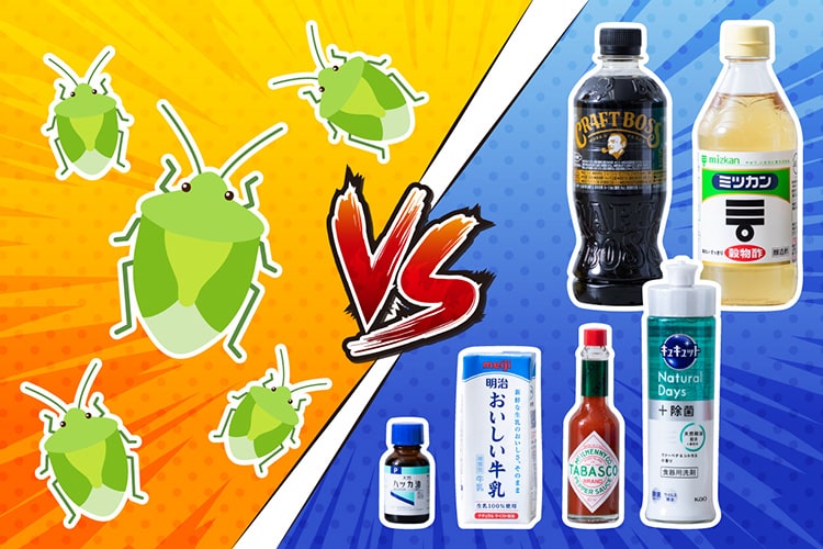 【検証】カメムシ避けに効く食品・日用品は? 予想外の結果に専門家もビックリ