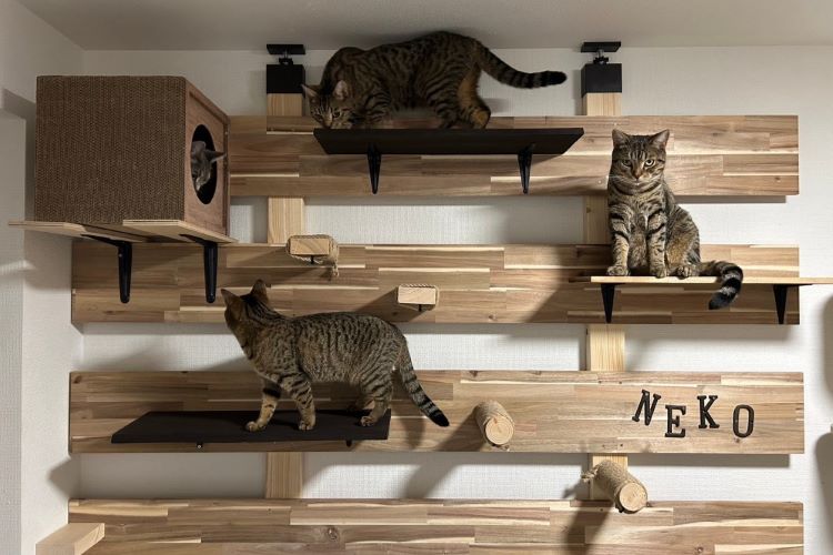 【DIY】賃貸でもOK! 2×4アジャスターで作る おしゃれキャットウォーク