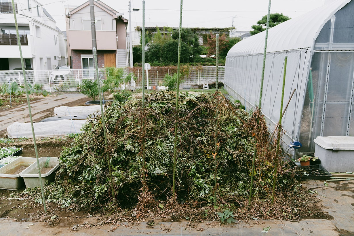カインズで買った「山芋掘り両刃パイプ柄T型」で、長芋を収穫する