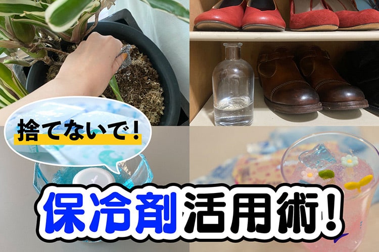 【保冷剤の再利用】消臭、スキンケア、植物の保水剤まで！ 今すぐ使える「保冷剤の活用法」6選