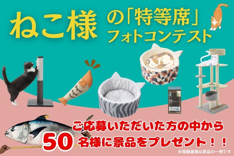 我が家はここだ！ねこ様の「特等席」フォトコンテスト
