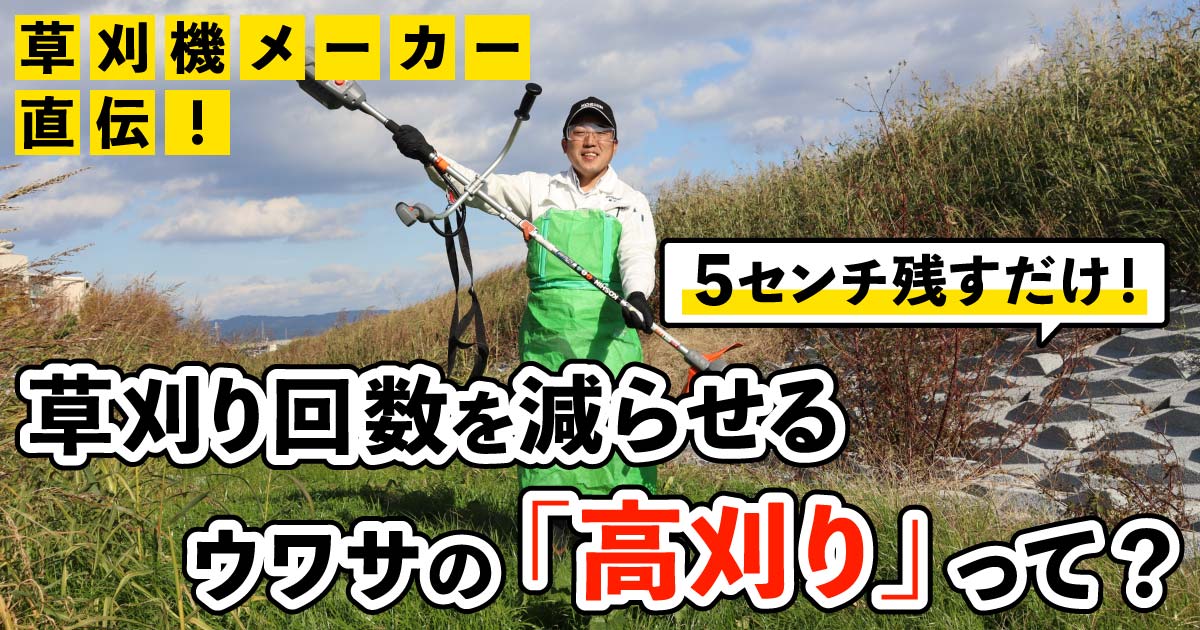 草刈りや面倒ごとやります。5000円〜要相談 草刈りの回数を減らす裏技『高刈り』知ってる？ プロ推奨の草刈り法の