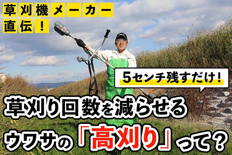 草刈りの回数を減らす裏技『高刈り』知ってる? プロ推奨の草刈り法のスゴさ