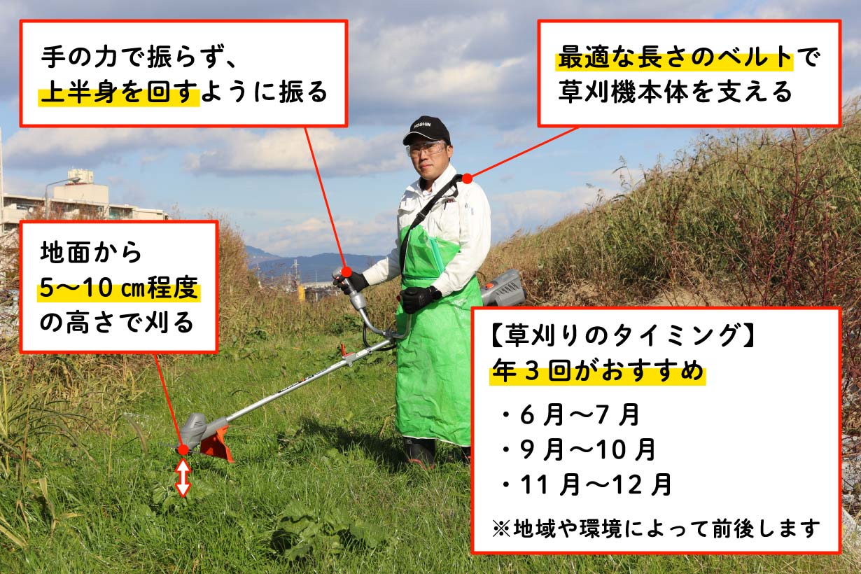 草刈りの回数を減らす裏技『高刈り』知ってる？ プロ推奨の草刈り法