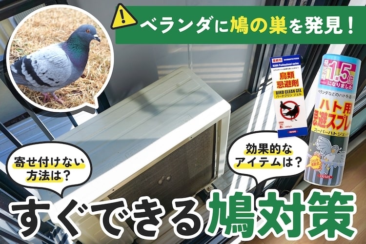 鳩対策は巣を作られる前に！ 自分でできる鳩を寄せ付けない予防法