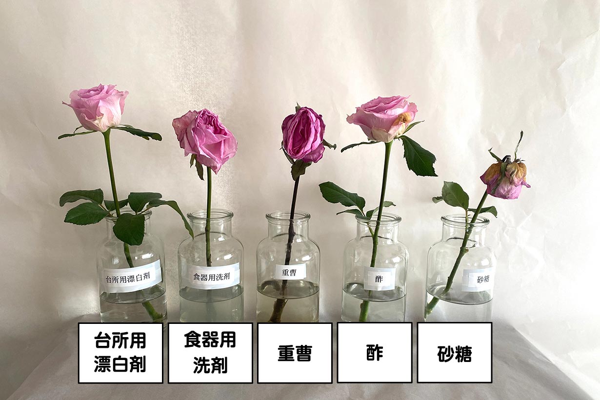 検証】切り花を長持ちさせる鍵はキッチン用品！？ 老舗生花店に聞いた 