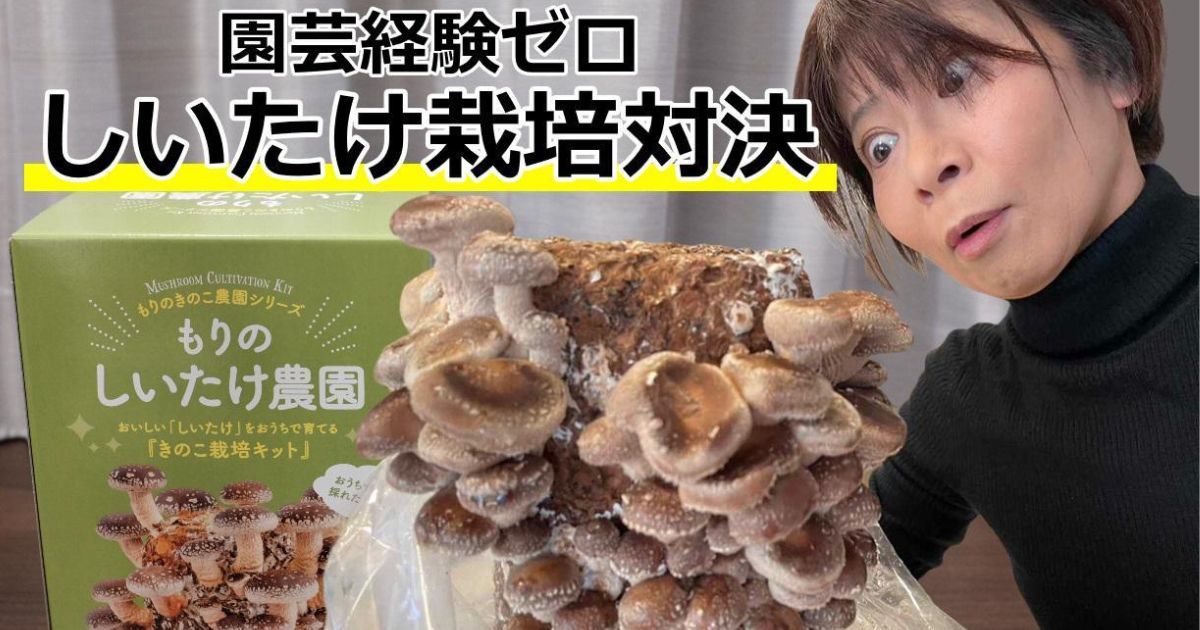 対決】園芸経験ゼロでもしいたけを育てられるか？ | となりのカインズさん