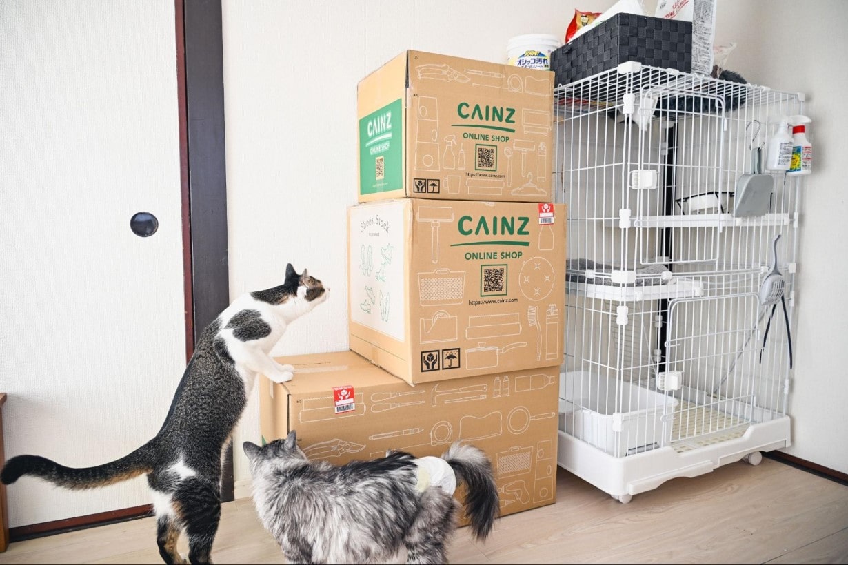 ペット用品をスッキリ収納。散乱していた「猫グッズ」をカインズの収納 