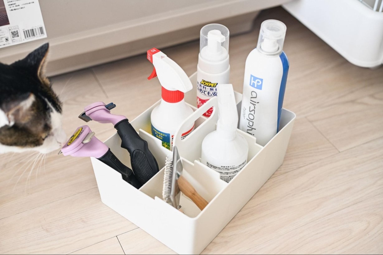 CAT様 リクエスト 3点 まとめ商品 猫CAT様 リクエスト 3点 まとめ商品 【公式通販】