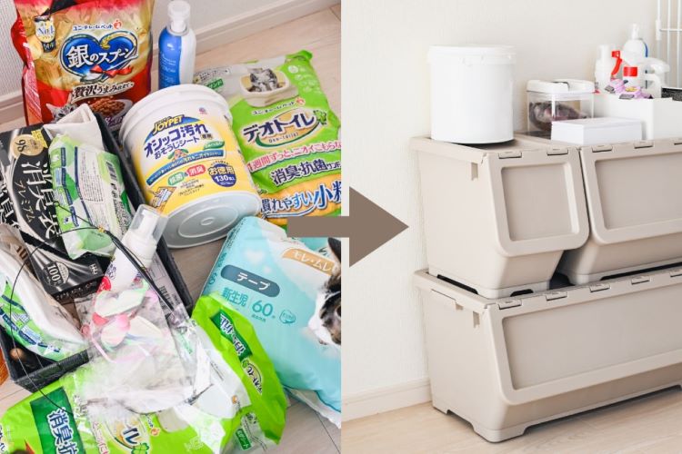 ペット用品をスッキリ収納。散乱していた「猫グッズ」をカインズの収納用品で片付けてみた