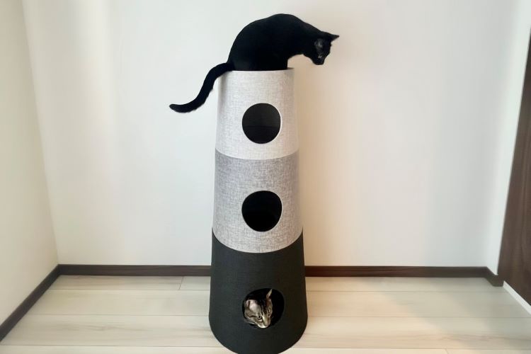 猫も夫婦も満足！ カインズのキャットインテリアタワーが家庭の悩みを解決した話