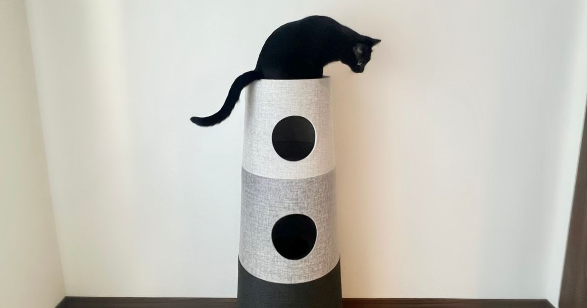 猫も夫婦も満足！ カインズのキャットインテリアタワーが家庭の悩みを解決した話 | となりのカインズさん