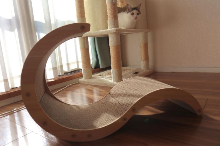 ボロボロ爪とぎを卒業！カインズの「交換できる爪とぎ」で愛猫も大満足