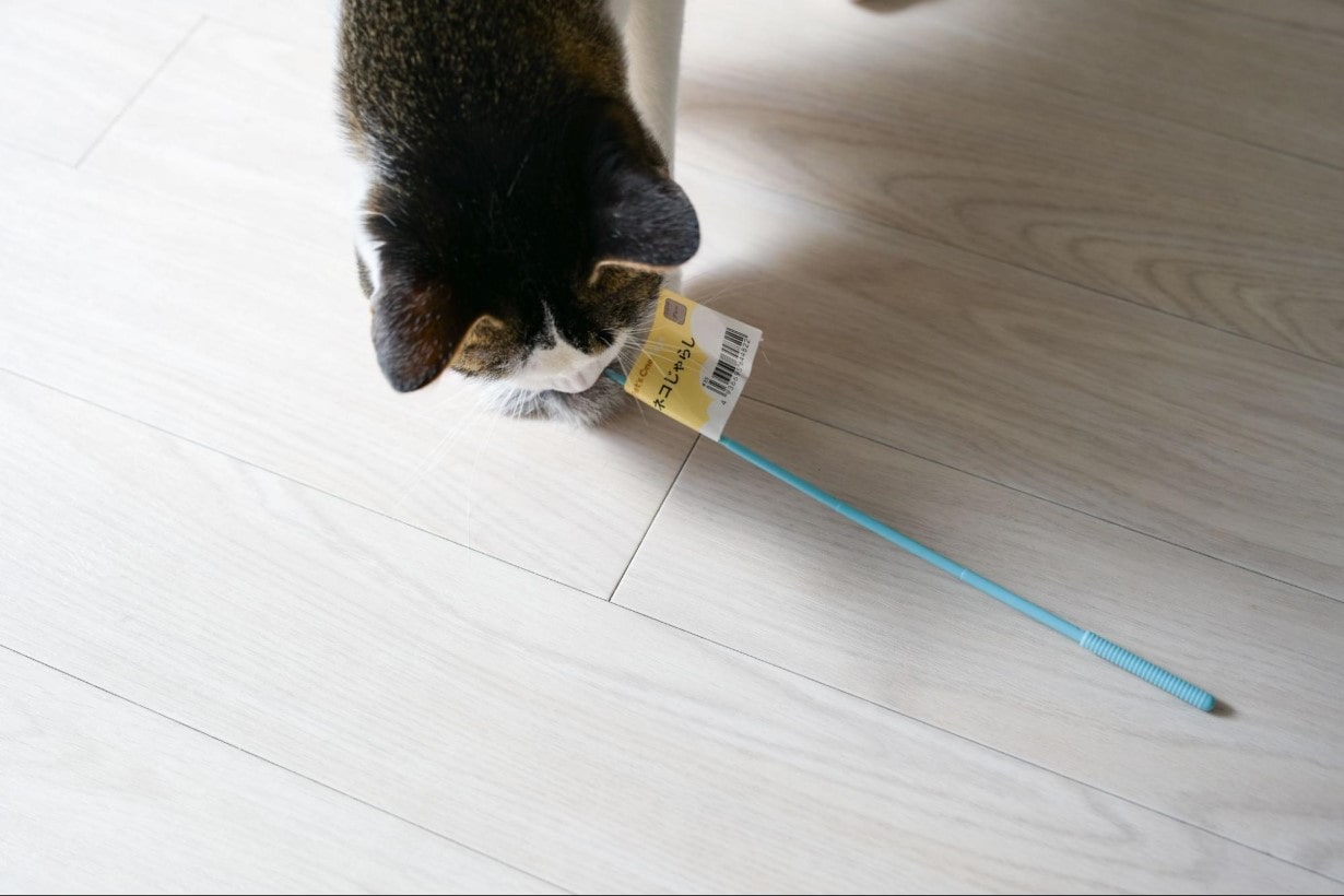 cat-toy_024-min.jpg