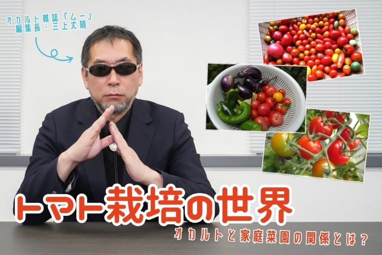 農業がオカルトって本当!? 30種のミニトマトを栽培する「ムー」編集長・三上丈晴の奥深い家庭菜園の世界