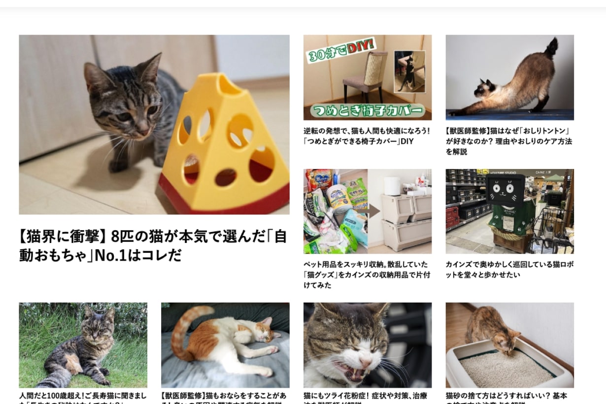 カインズ にゃん祭り2025』潜入レポ！ スタンプラリーで出会った猫