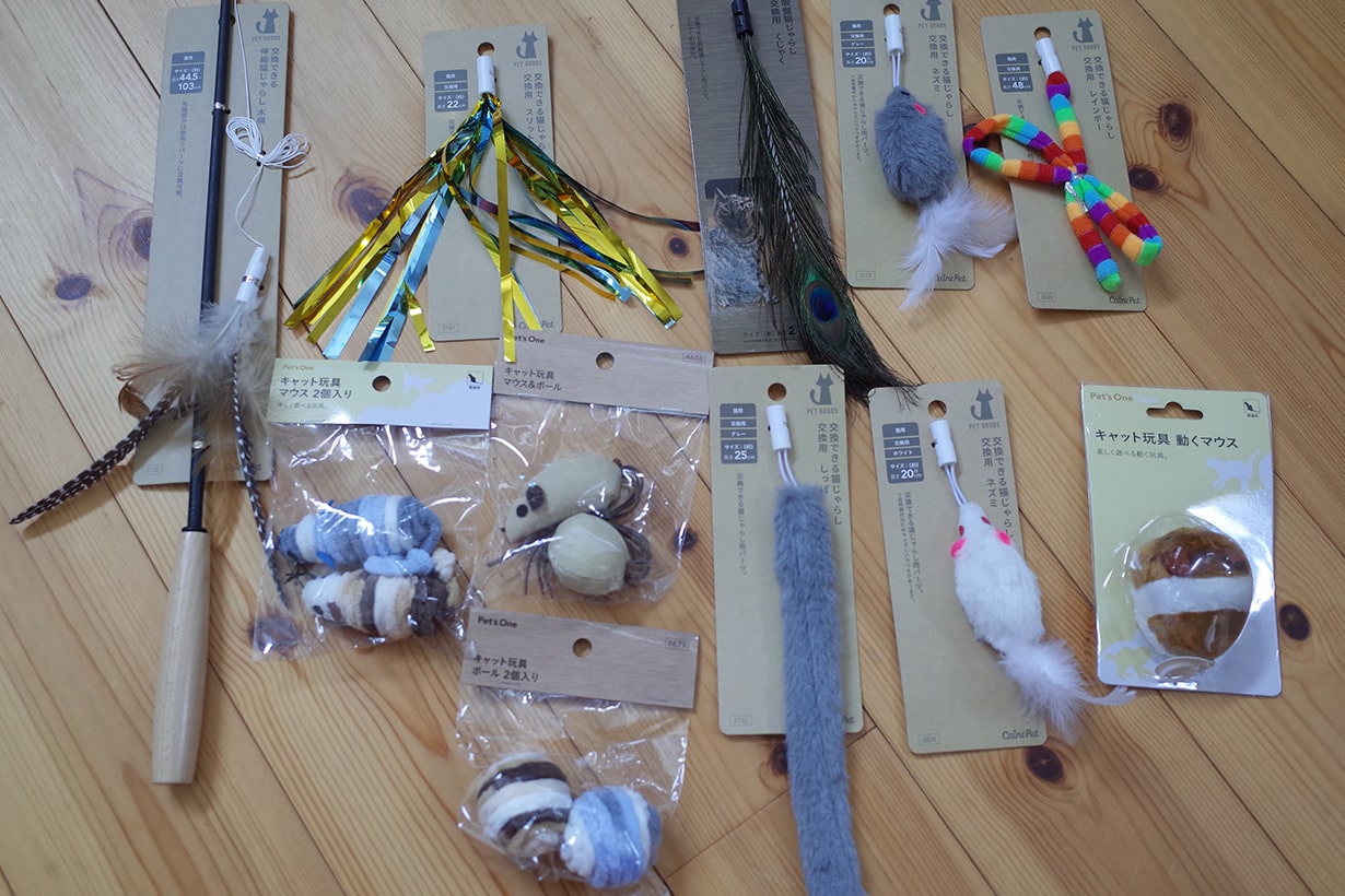 猫おもちゃをDIYしてわかった、意外すぎる愛猫の好みと“猫心”のつかみ  