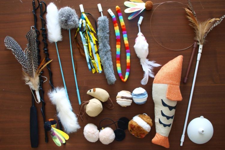 【大興奮】カインズオリジナル猫おもちゃ16種を愛猫にプレゼント。愛猫たちが夢中になったおもちゃはどれ？