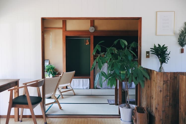 カフェのインテリアにぴったりな観葉植物を探しにカインズへ