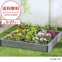 レイズドベッドでおしゃれに野菜を育ててみよう！ カインズの