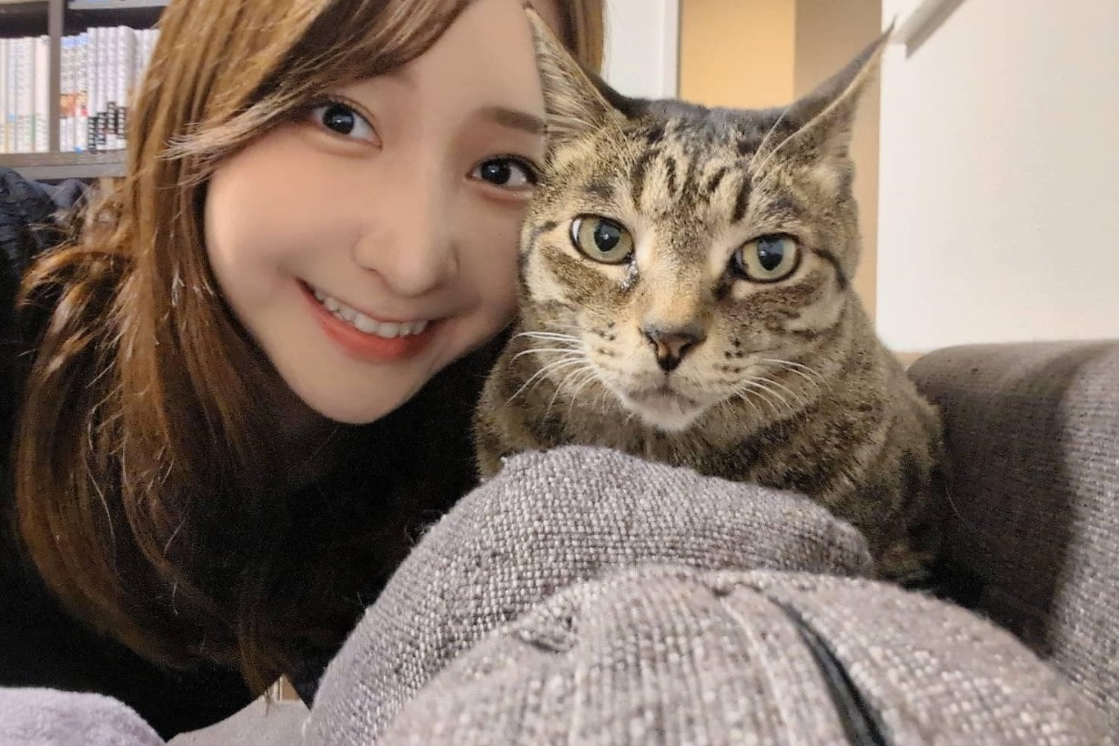 猫の毛、こんなに取れるの!? カインズの「お掃除グッズ」で猫も快適な 