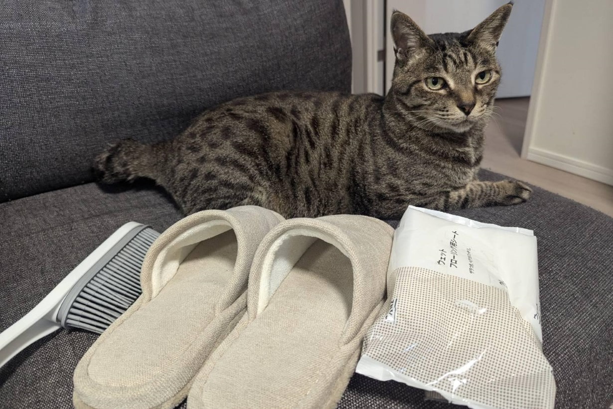 猫の毛、こんなに取れるの!? カインズの「お掃除グッズ」で猫も快適な清潔部屋に早変わり