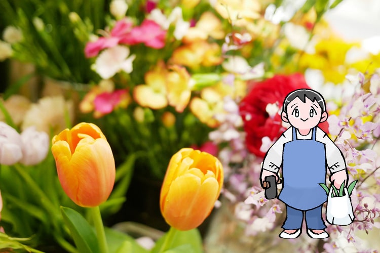 母に初めて花を贈り、お互いにどう思ったか意見を交換する