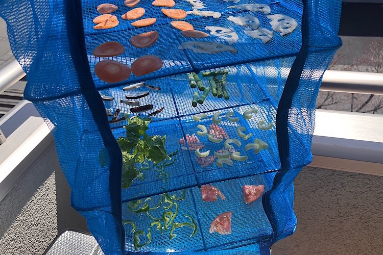 ズボラでもできます。「干し活」で野菜もおやつもムダなし生活