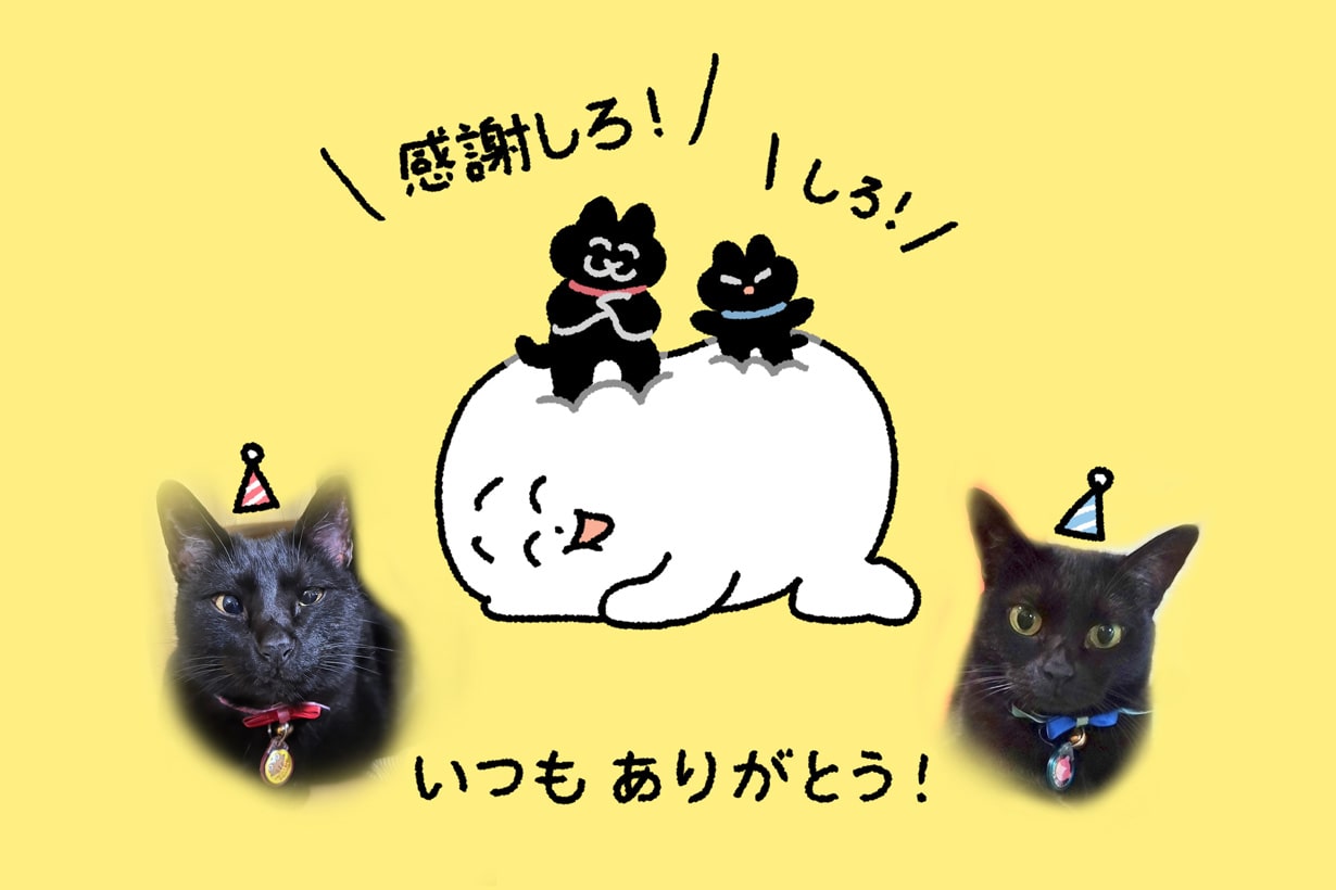 しもべ”扱いされても幸せ…『ねことしもべ』作者の幸せと愛に満ちた