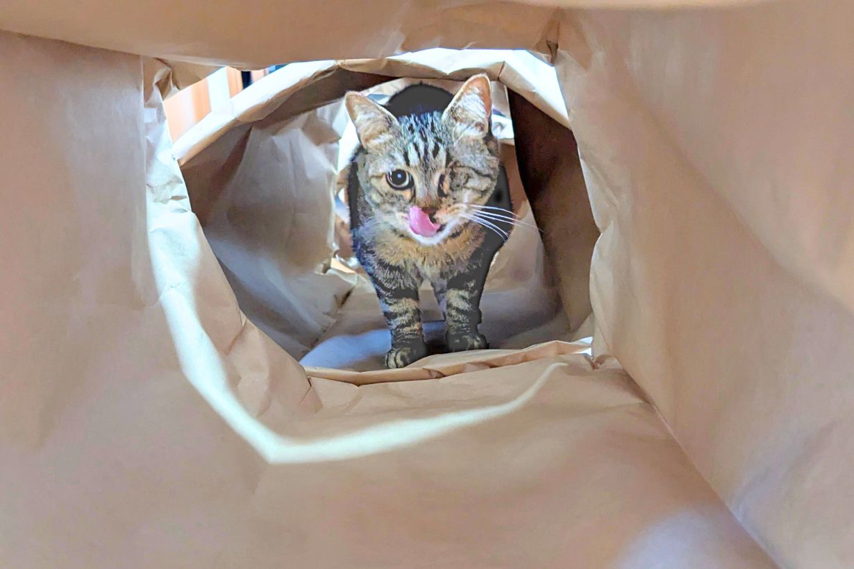 「米袋」でつくる猫専用・超ロングトンネルを300円以下でDIYしてみた