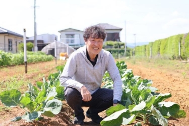 日本一の大葉の産地・愛知県のプロ農家に「大葉」のおいしい育て方を