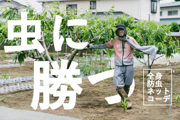 「虫に刺されたくない！」全身メッシュで挑む最強防虫コーデ