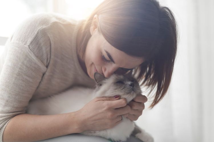 猫吸いってなに？ どんなにおい？ 嫌がるサインと寄生虫、アレルギー対策方法【獣医師監修】