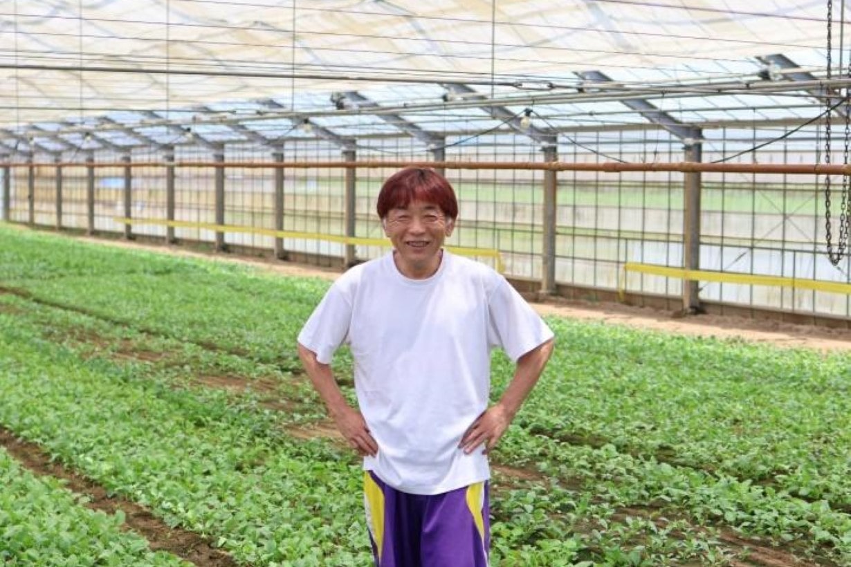 日本一のラディッシュの産地・愛知県のプロ農家に「ラディッシュ」の