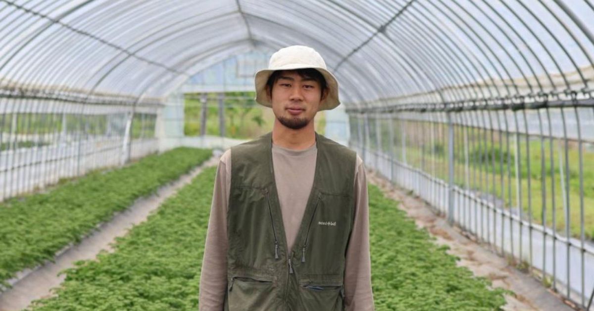 parsley-cultivation_og-min.jpg