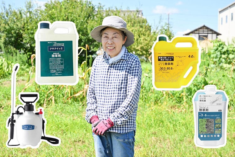 ばあちゃん、雑草に勝つ。カインズ除草剤が広大な土地で本気を出した！