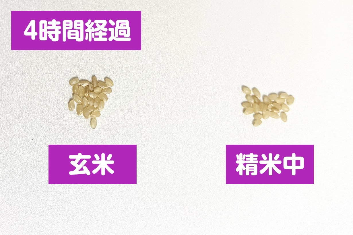 精米を始めて4時間後