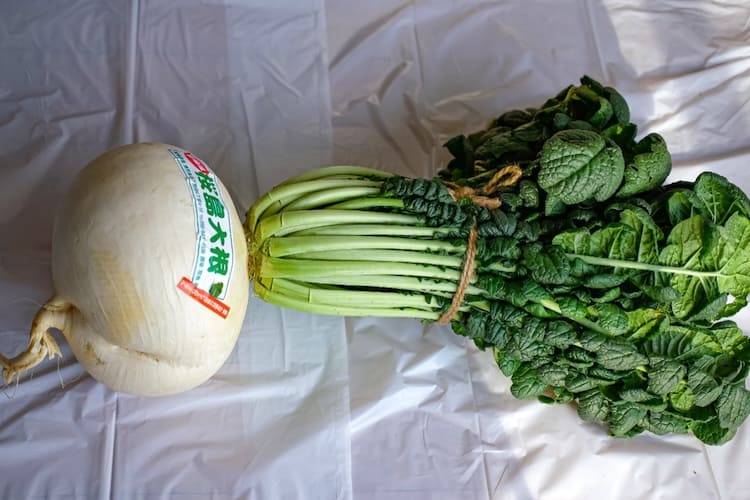 世界最大の大根を使い切る! 料理家おすすめの「桜島大根」感動レシピ11品