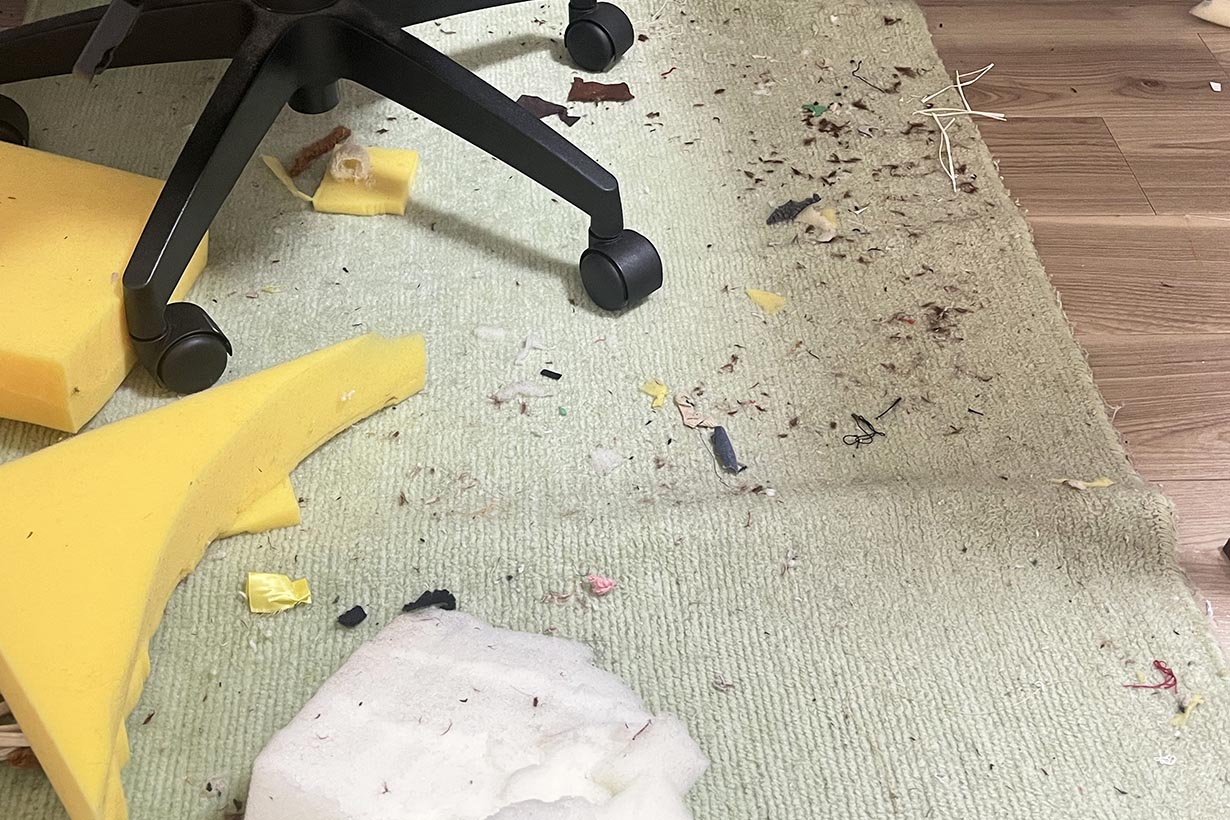 掃除機を使わず深夜もOK！ 「サイレント掃除」チャレンジ | となりの