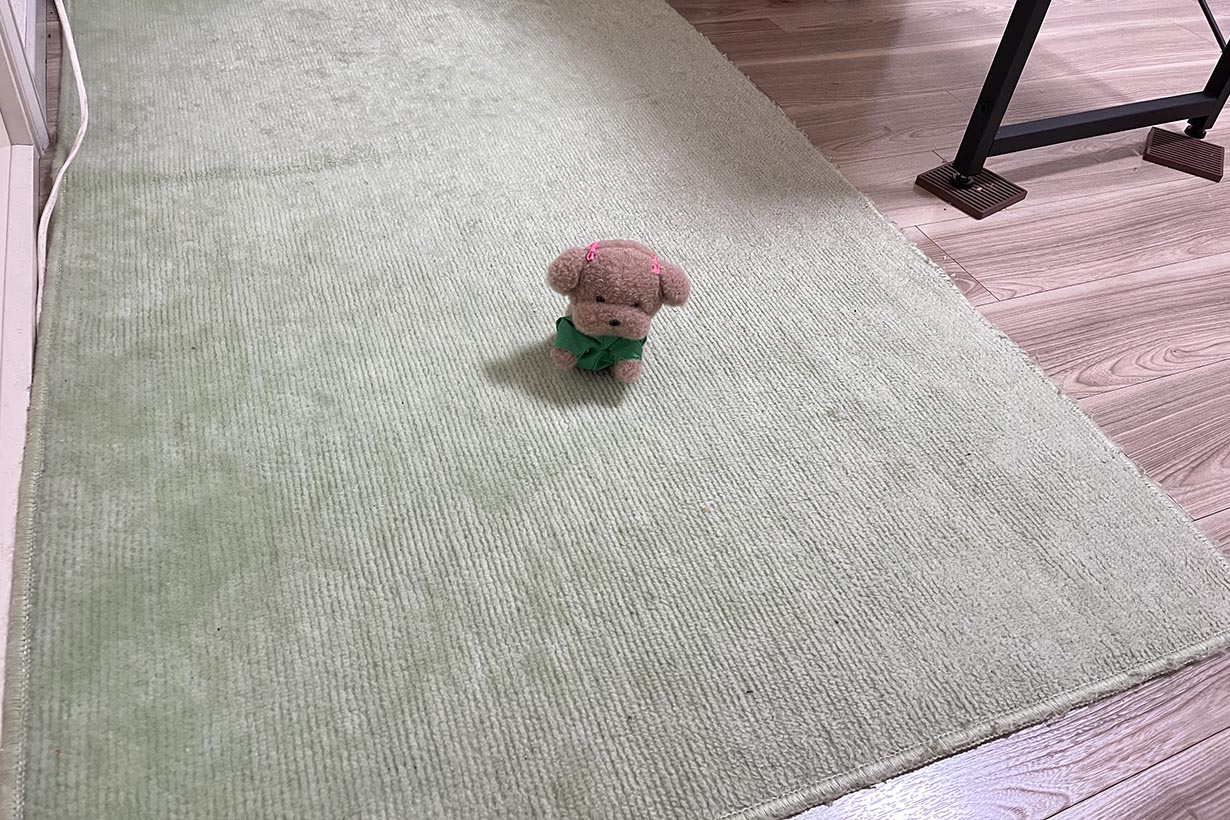 地道に掃除をして、こんなに綺麗になりました！