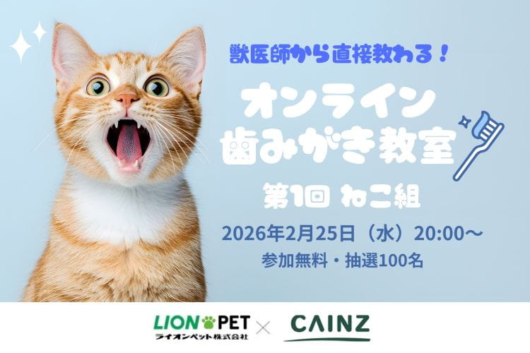 獣医師が教える！ カインズ オンライン歯みがき教室 《第1回・ねこ編》