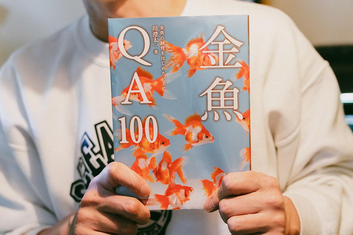 金魚すくいの金魚をちゃんと長生きさせたい。専門家に聞いてみた